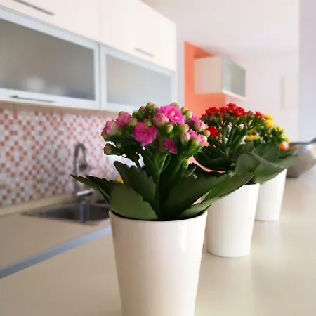 Appartement Krakovo Center